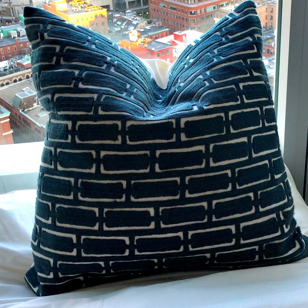 West Elm Pillow 20x20